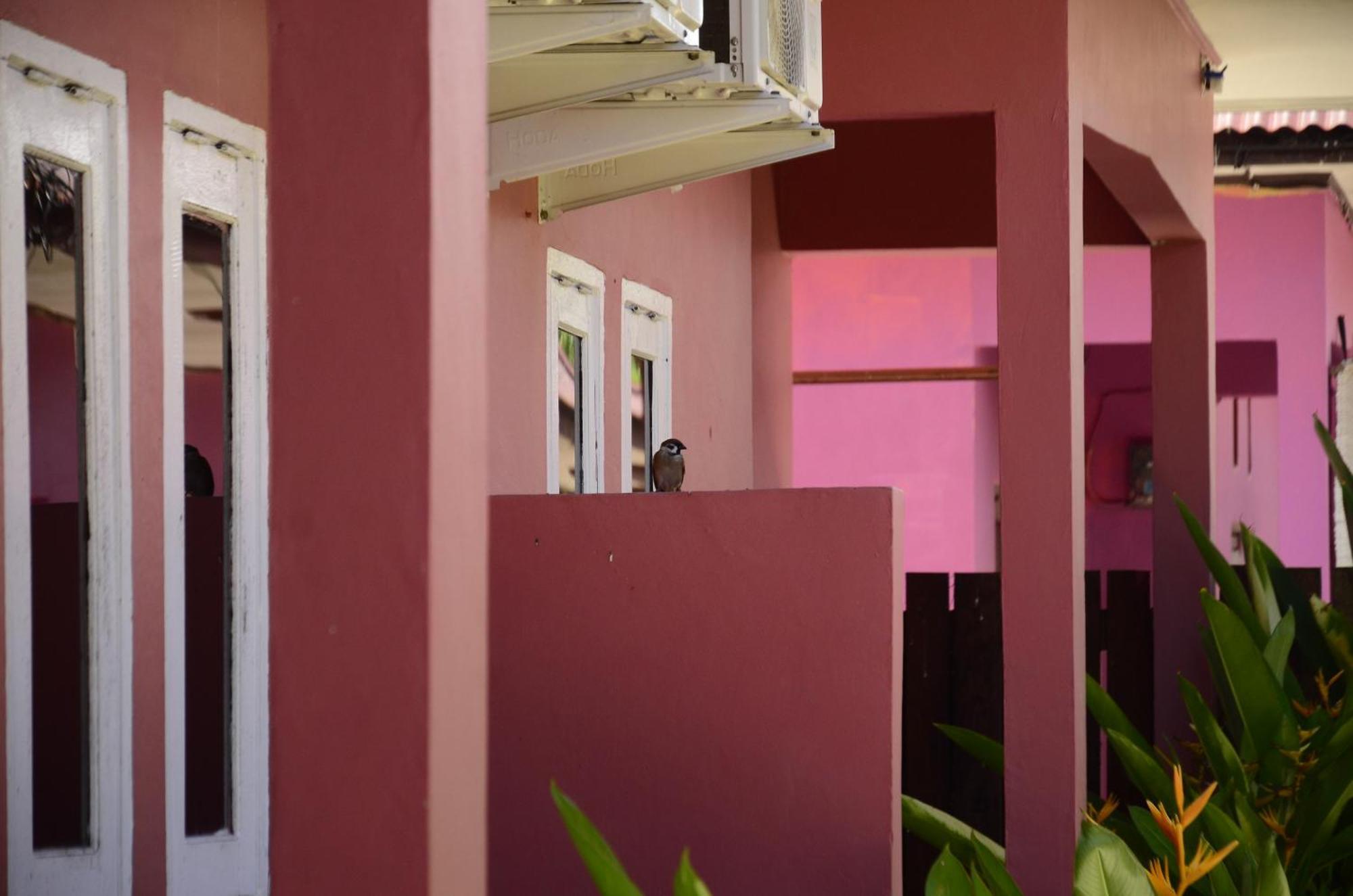Baronda Guest House Sorong Exterior foto